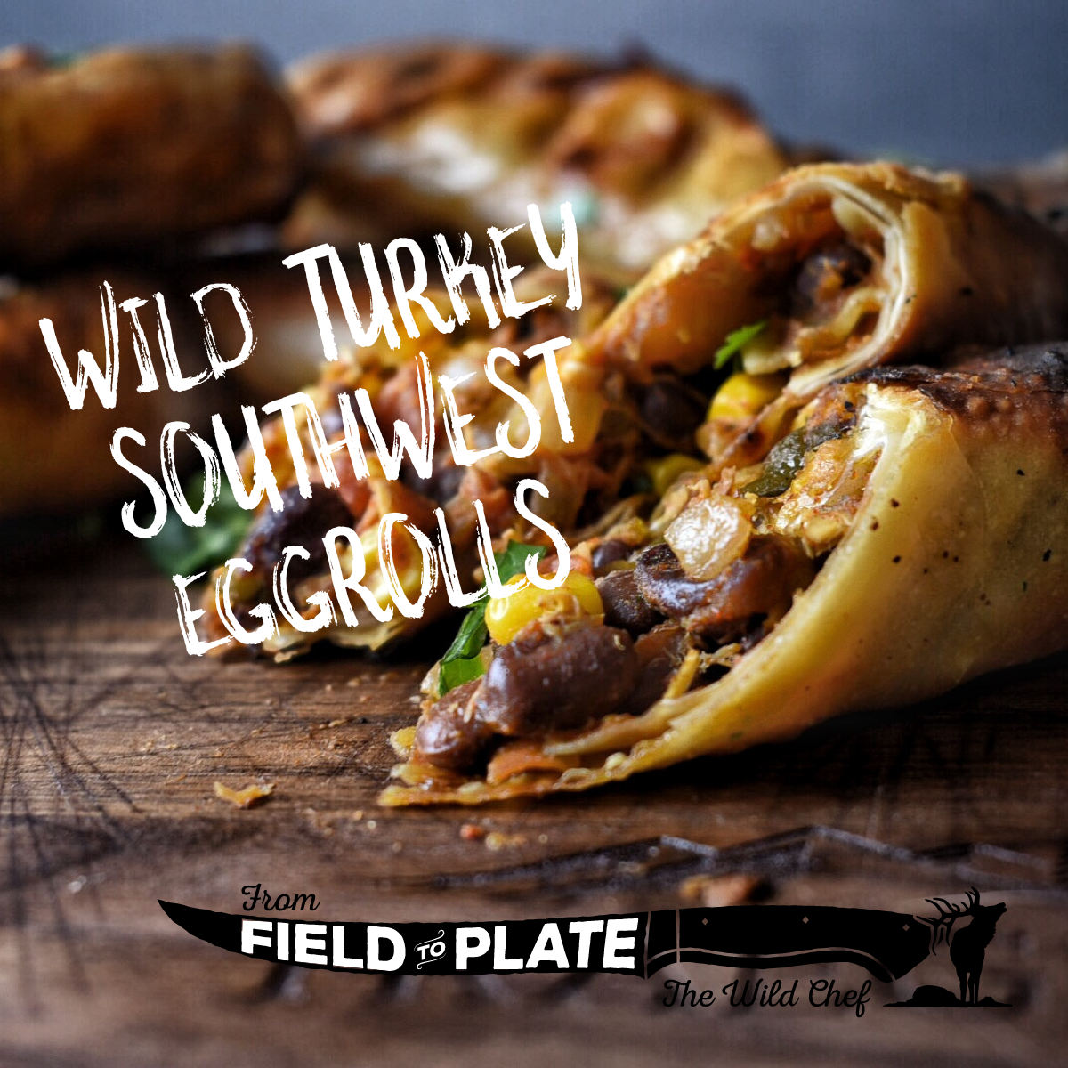 Wild Turkey Southwest Eggrolls Recipe – NOMAD Outdoor