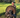 Turkey Camp Recap: The Ones You Remember