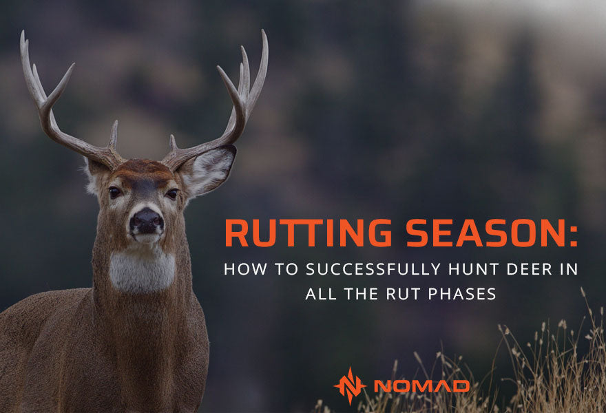 Rutting Season: How to Successfully Hunt Deer in All the Rut Phases