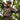 Man in camouflage attire with a bow and arrow in a forest setting