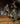 Two men in camouflage hunting outfits sit on wooden steps in front of a rustic cabin, with a mounted turkey hanging on the porch. One man wears a long-sleeve camo shirt and pants with a cap, while the other wears a matching camouflage set with boots and shoes.